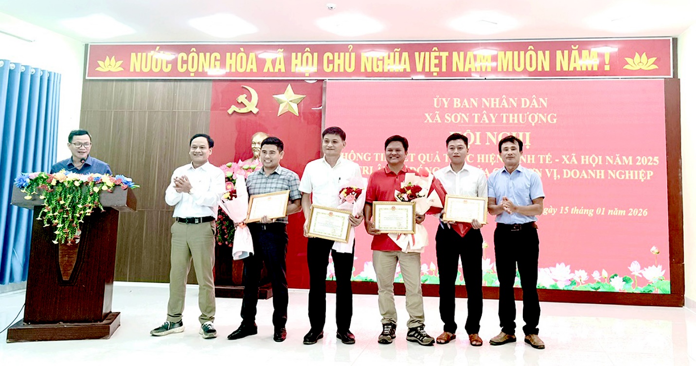 son tay thuong trong hon 1.000 cay mai anh dao tao diem den du lich xanh - 12