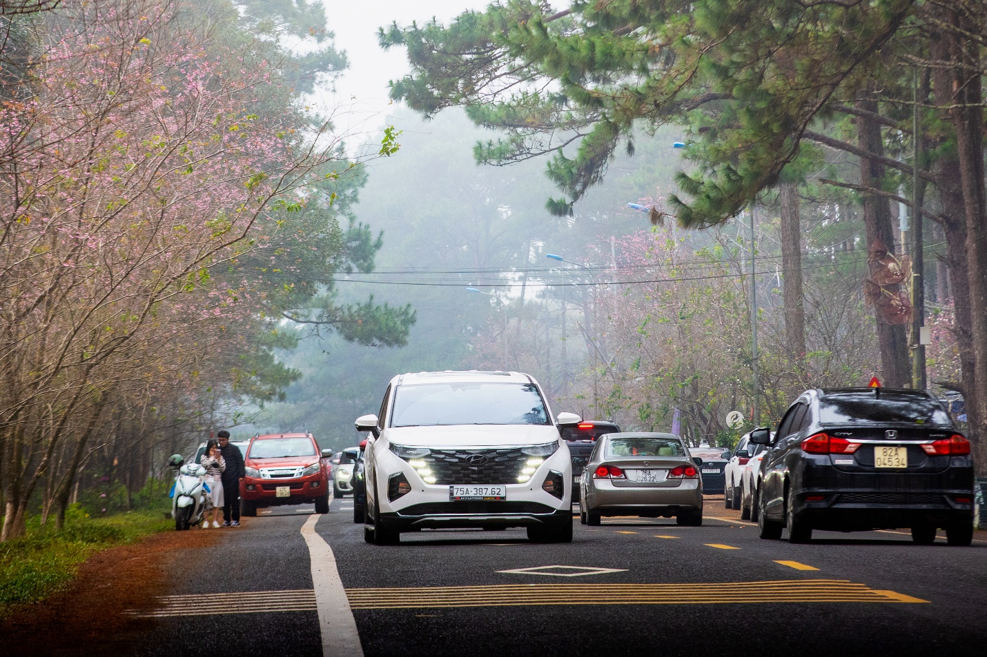 800 van dong vien tham gia giai chay dia hinh mang den ultra trail 2026 - 15