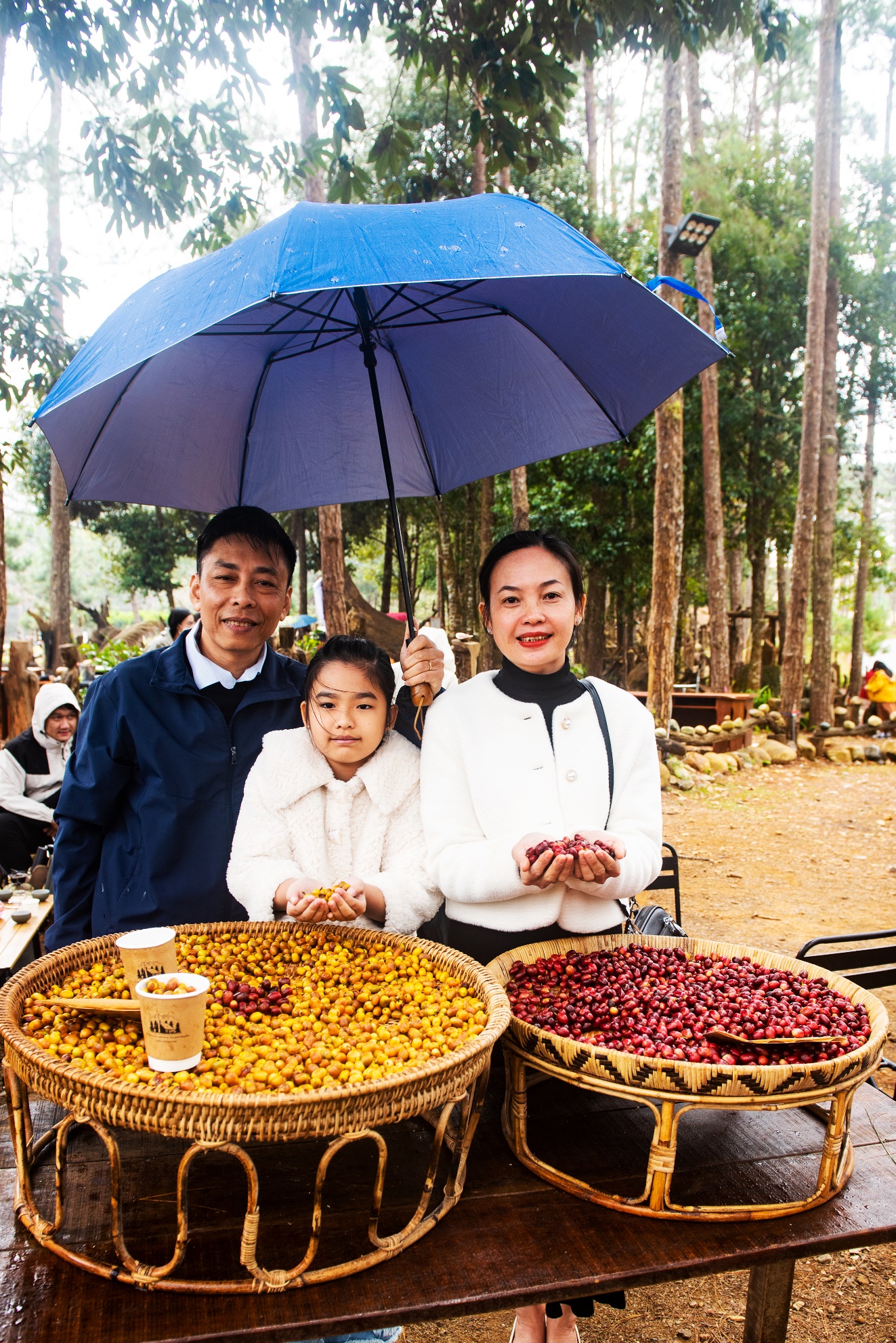 800 van dong vien tham gia giai chay dia hinh mang den ultra trail 2026 - 13