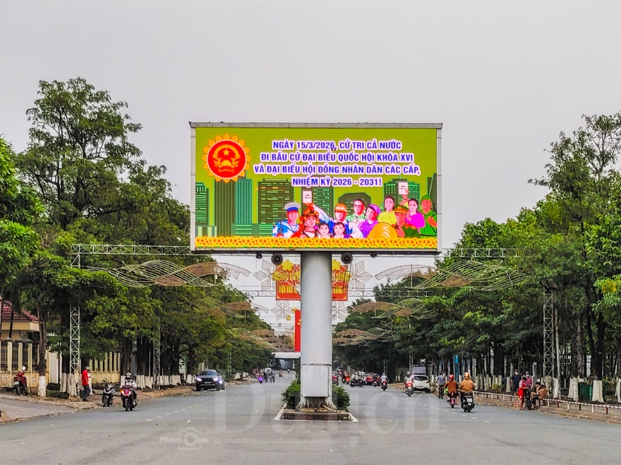 Nhịp bước du xuân, ngắm TP.HCM rực rỡ cờ hoa chào mừng ngày hội lớn - 6