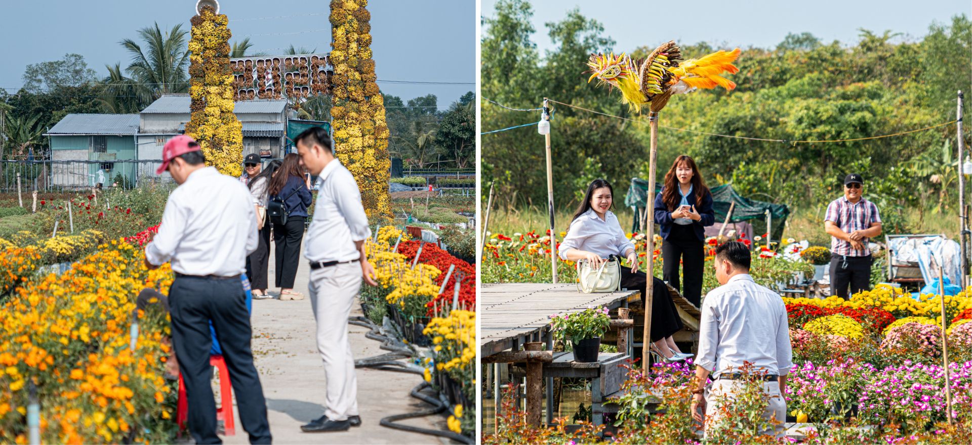 gan tet, lang hoa sa dec ruc ro sac mau ben dong tien giang - 2