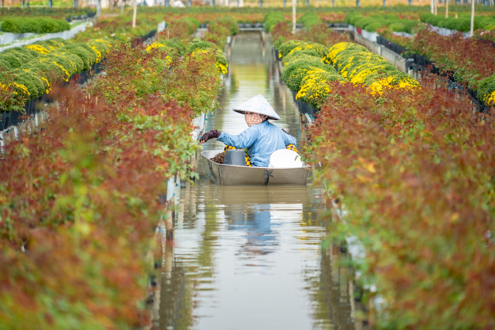 gan tet, lang hoa sa dec ruc ro sac mau ben dong tien giang - 5