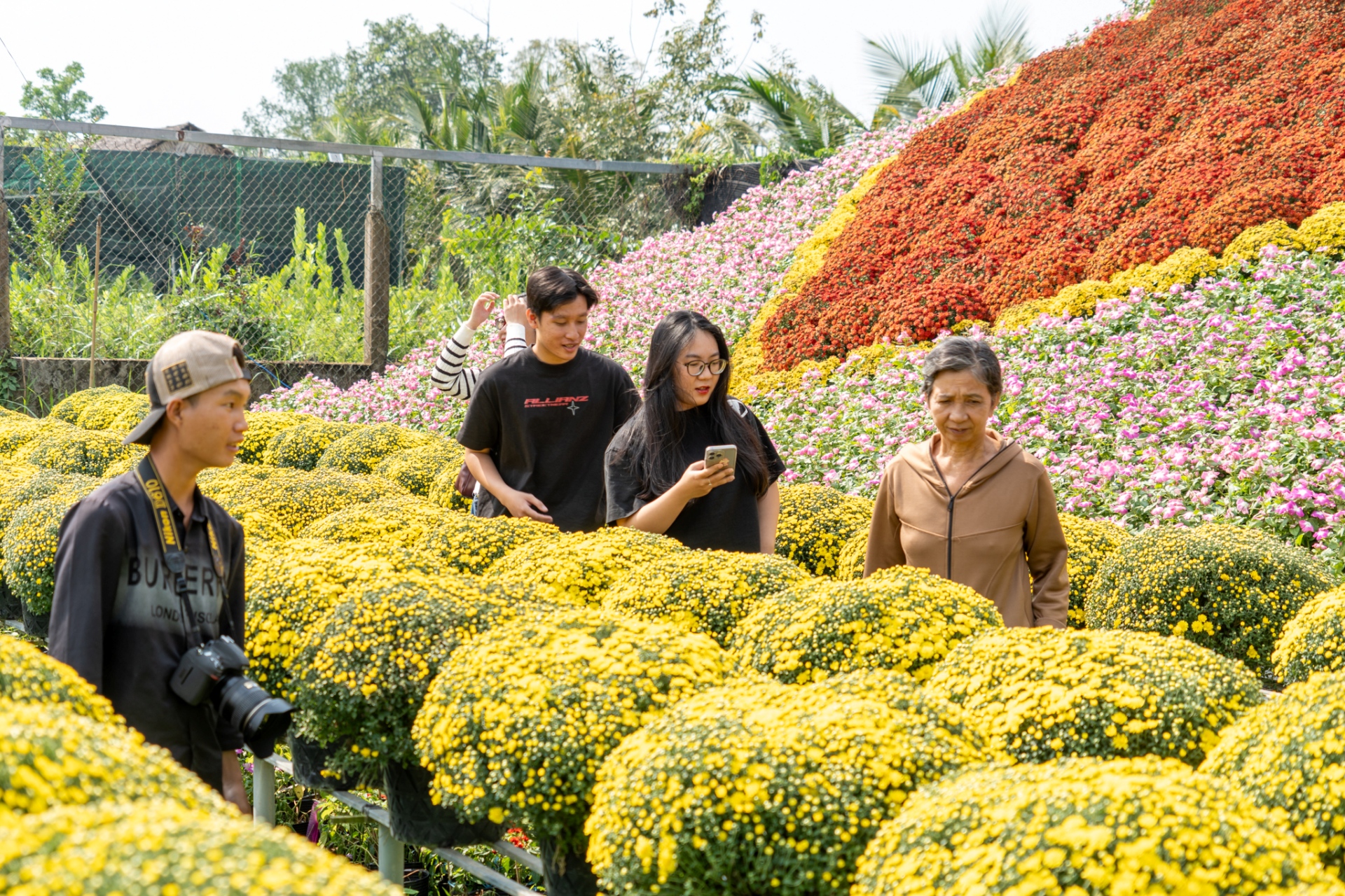gan tet, lang hoa sa dec ruc ro sac mau ben dong tien giang - 8