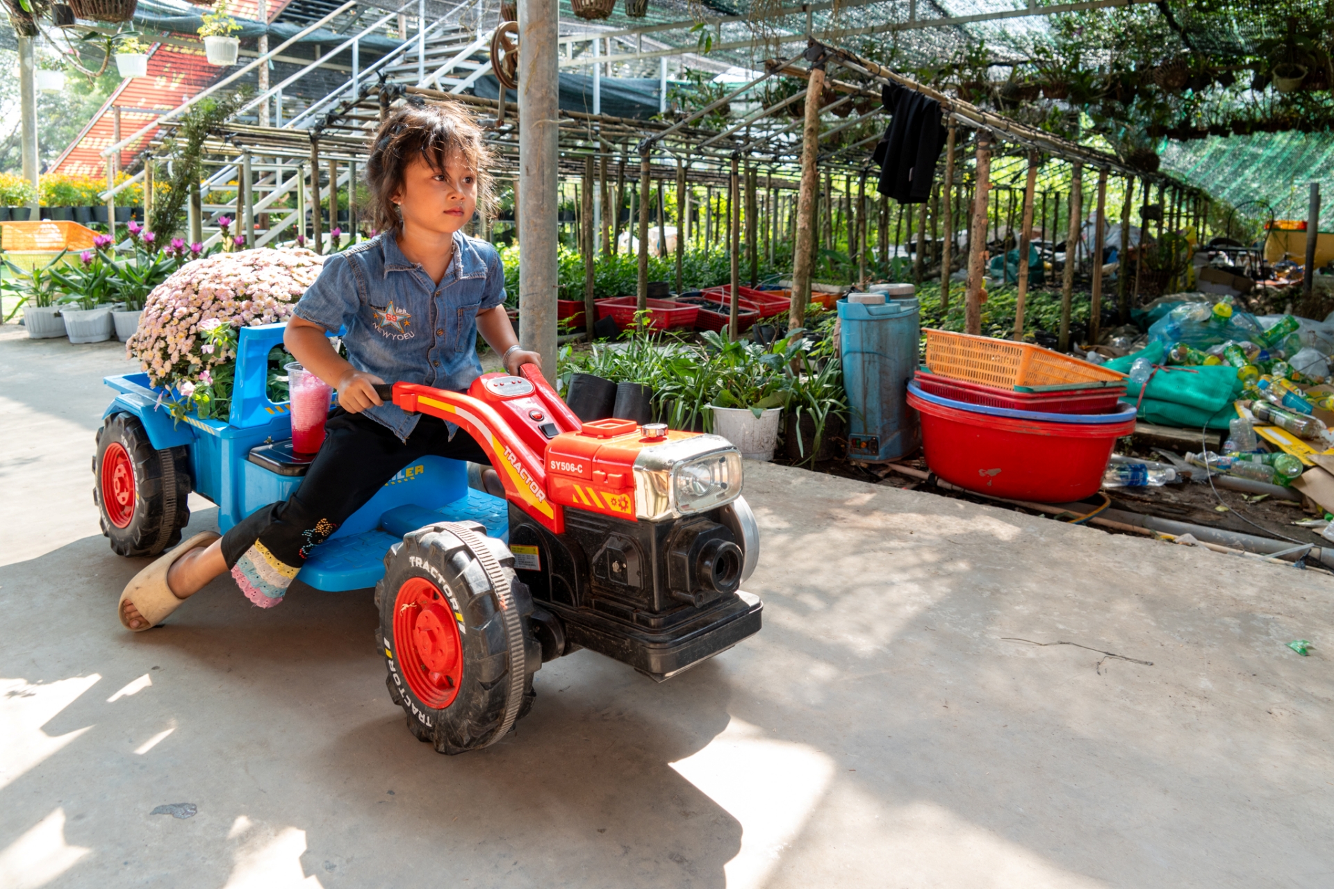 gan tet, lang hoa sa dec ruc ro sac mau ben dong tien giang - 12