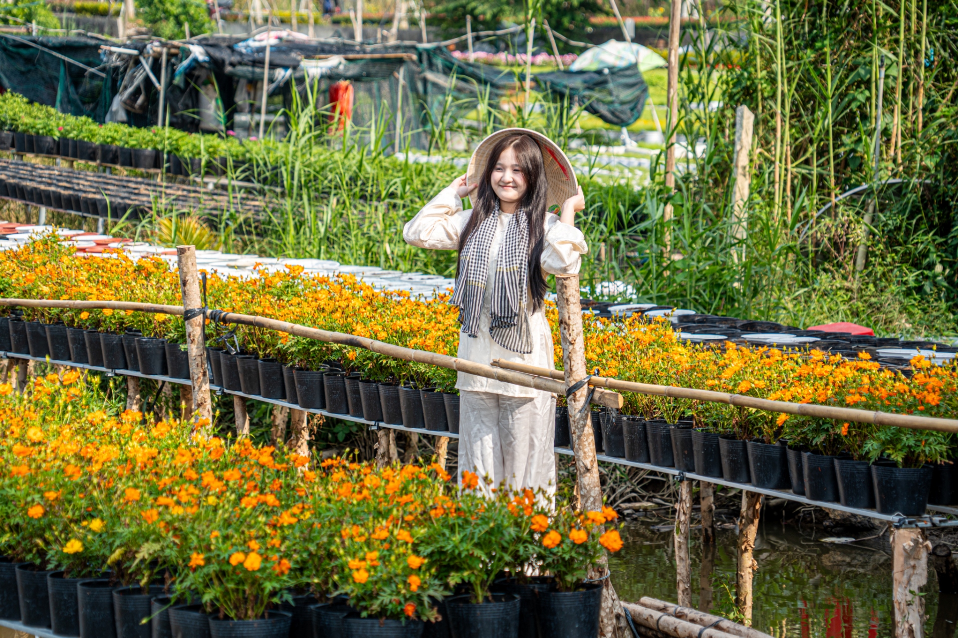 gan tet, lang hoa sa dec ruc ro sac mau ben dong tien giang - 14