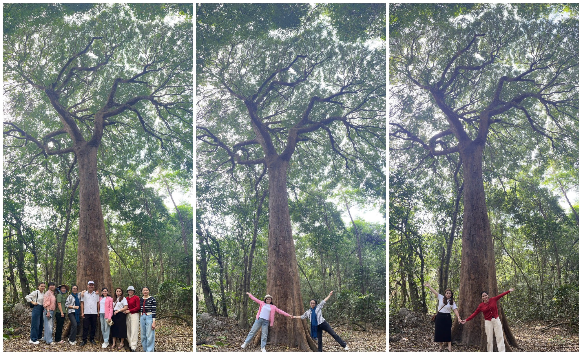 Xã Xuyên Mộc tiên phong xác lập đề án phát triển du lịch trong không gian siêu đô thị mới - 1