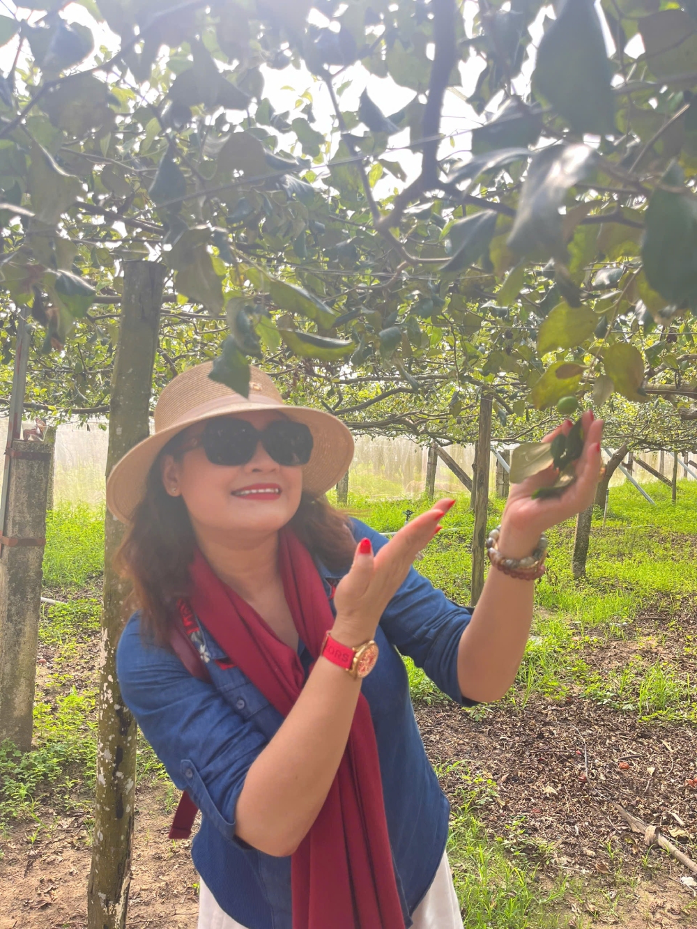 Xã Xuyên Mộc tiên phong xác lập đề án phát triển du lịch trong không gian siêu đô thị mới - 7