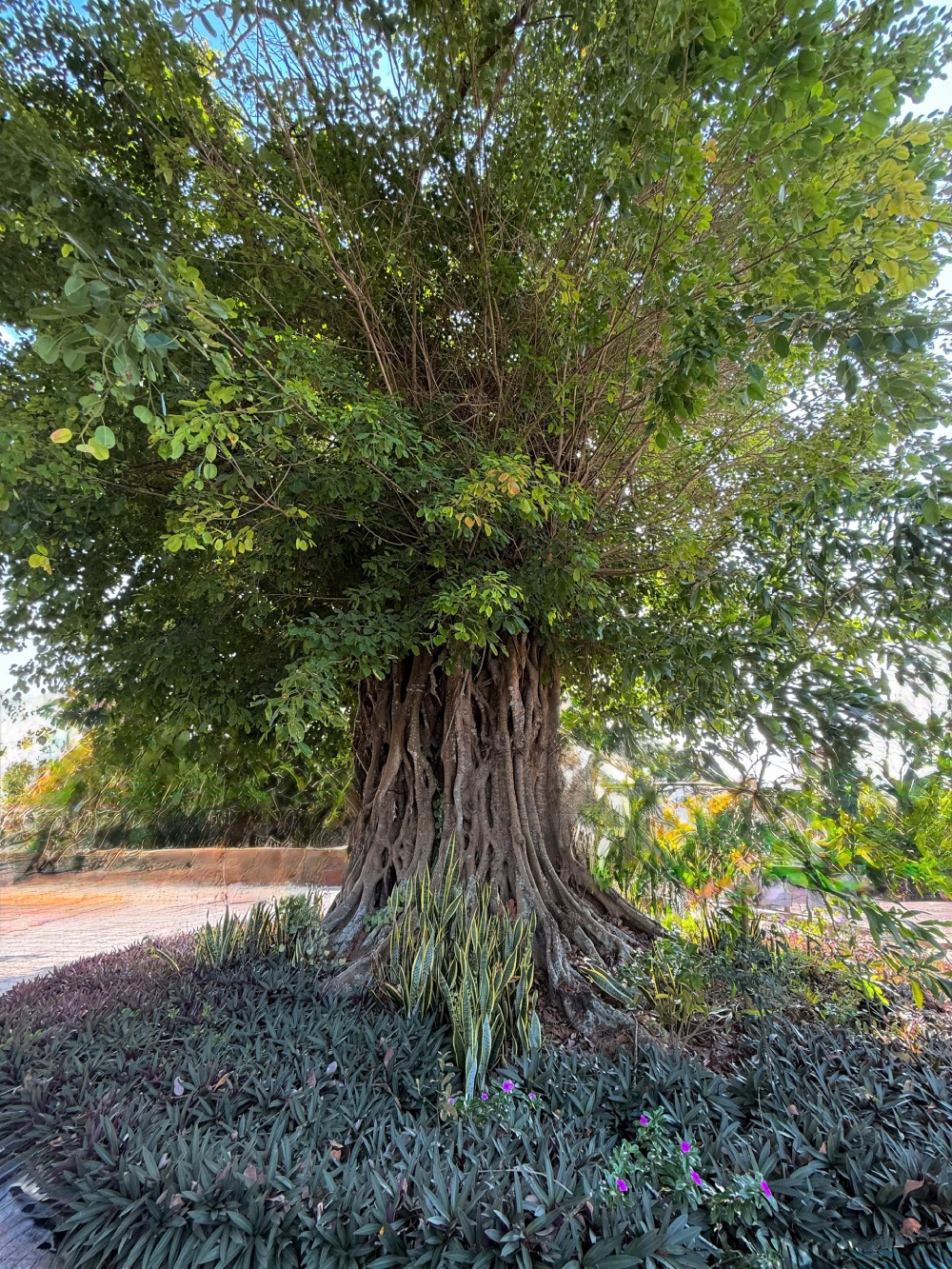 Xã Xuyên Mộc tiên phong xác lập đề án phát triển du lịch trong không gian siêu đô thị mới - 2