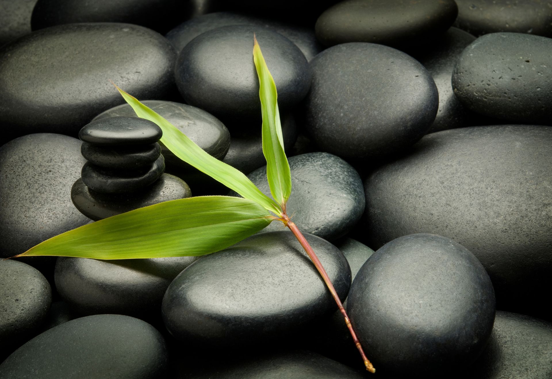 Đón Tết Bính Ngọ 2026: Hiểu phong thủy để sống hài hòa - 2