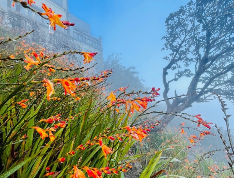 Miền Bắc chìm trong giá rét, vào mùa du lịch săn băng tuyết
