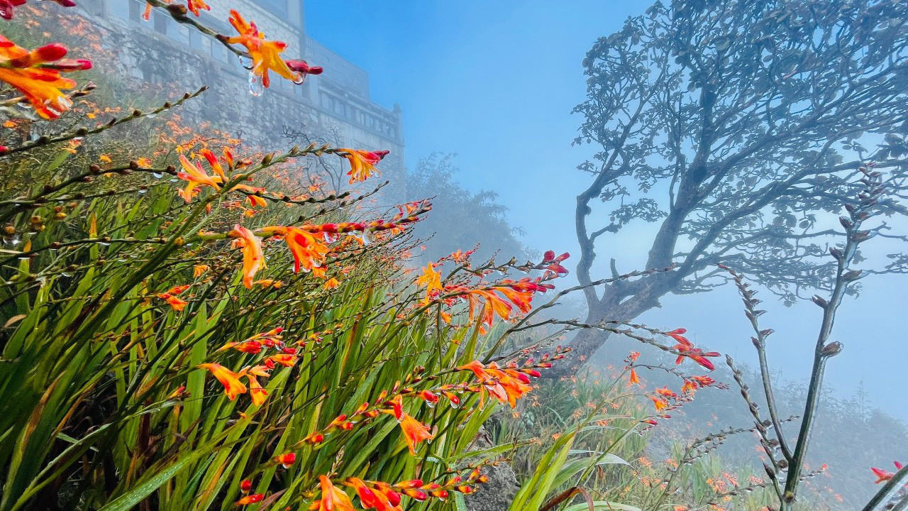Miền Bắc chìm trong giá rét, vào mùa du lịch săn băng tuyết - 3