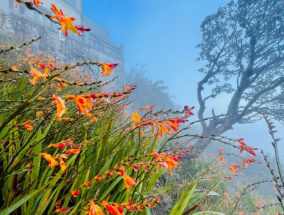  - Miền Bắc chìm trong giá rét, vào mùa du lịch săn băng tuyết