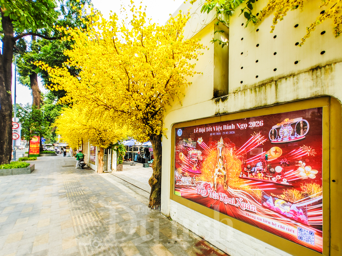 Tháo dỡ trụ sở Trung tâm Dịch vụ Việc làm Thanh niên thi công Lễ hội Tết Việt - 5