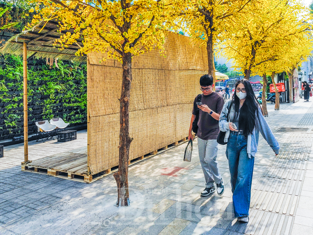 Tháo dỡ trụ sở Trung tâm Dịch vụ Việc làm Thanh niên thi công Lễ hội Tết Việt - 8