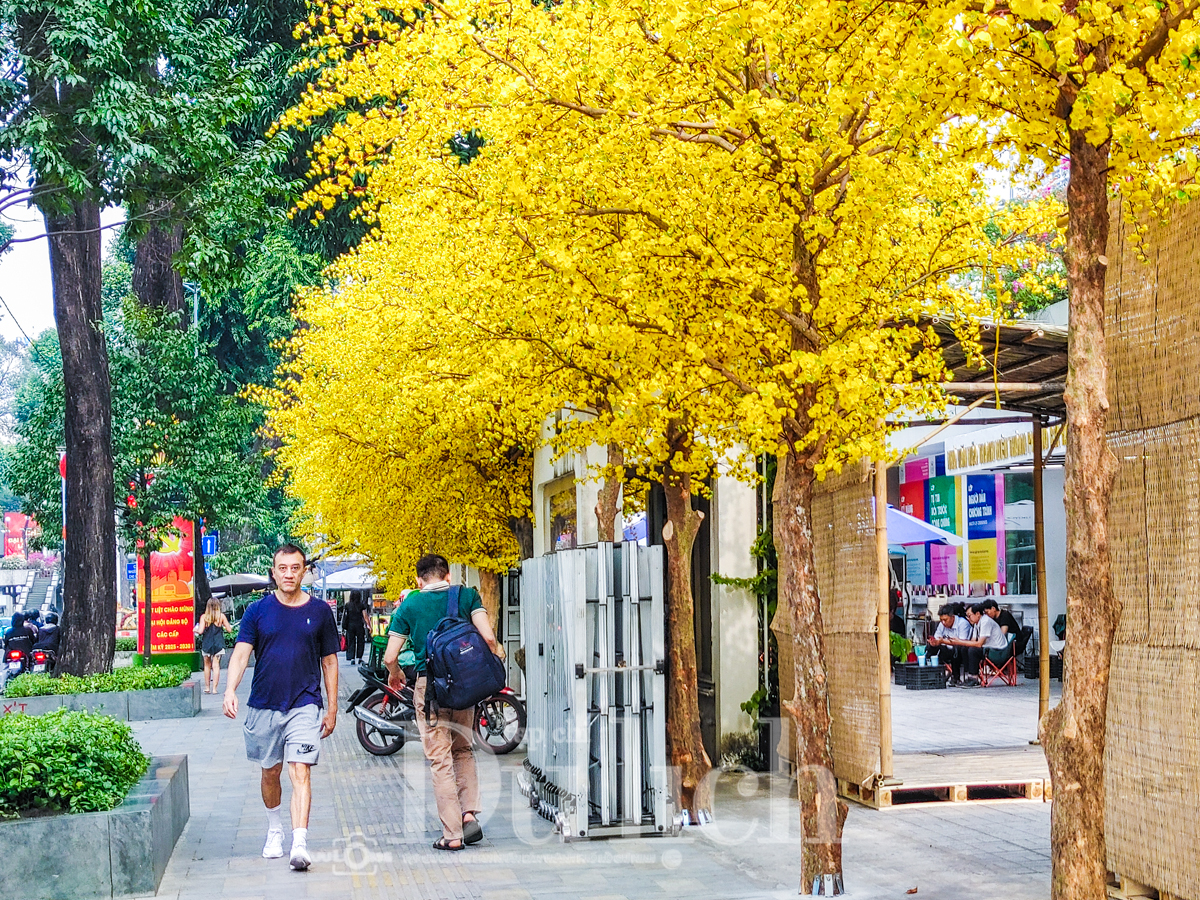 Tháo dỡ trụ sở Trung tâm Dịch vụ Việc làm Thanh niên thi công Lễ hội Tết Việt - 7