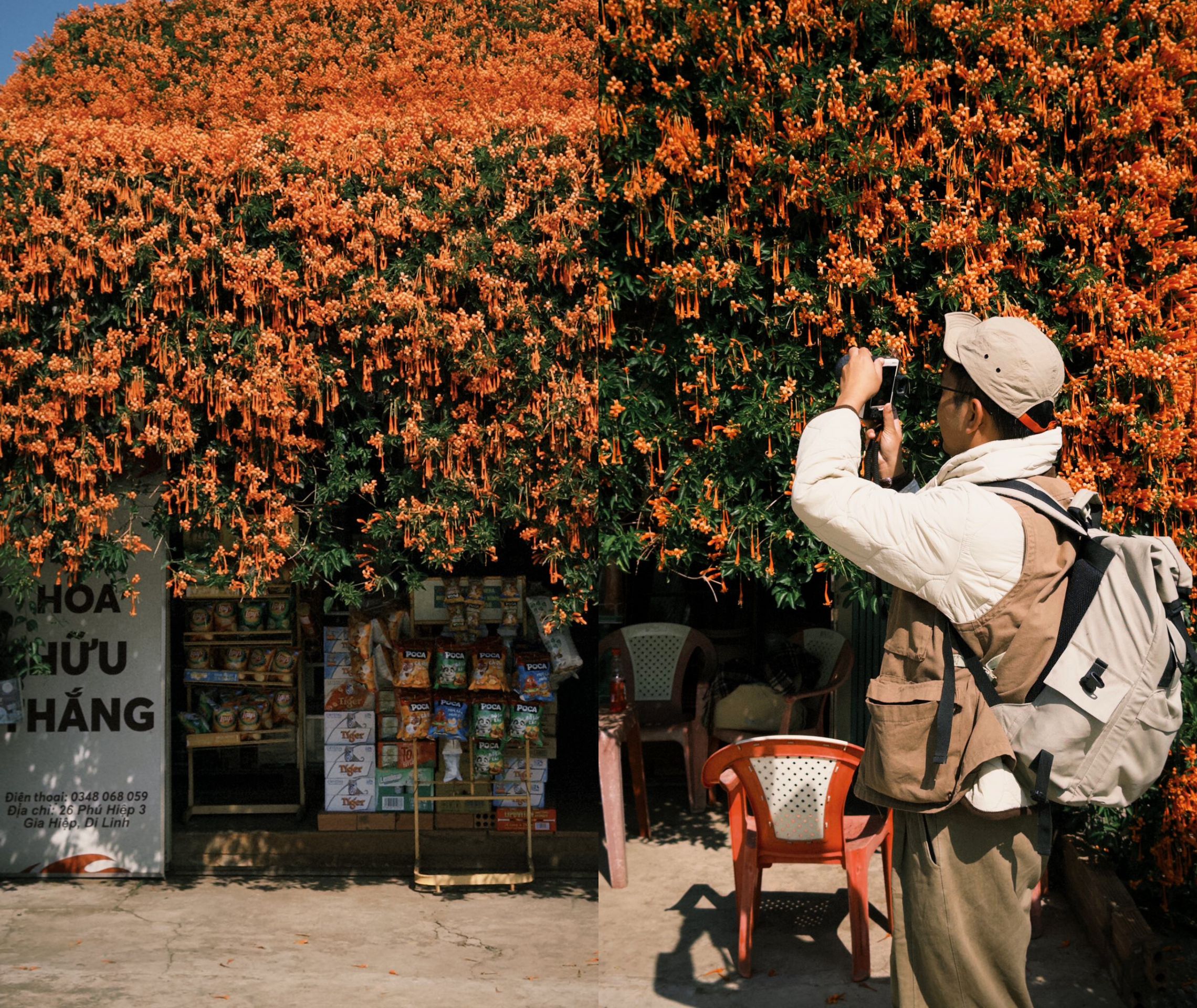 Ngôi nhà gỗ phủ đầy hoa chùm ớt níu chân du khách Tết này - 2