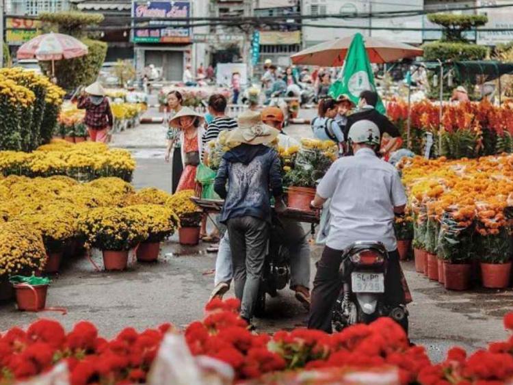 TP.HCM triển khai loạt giải pháp giữ ổn định giá cả dịp Tết Bính Ngọ 2026