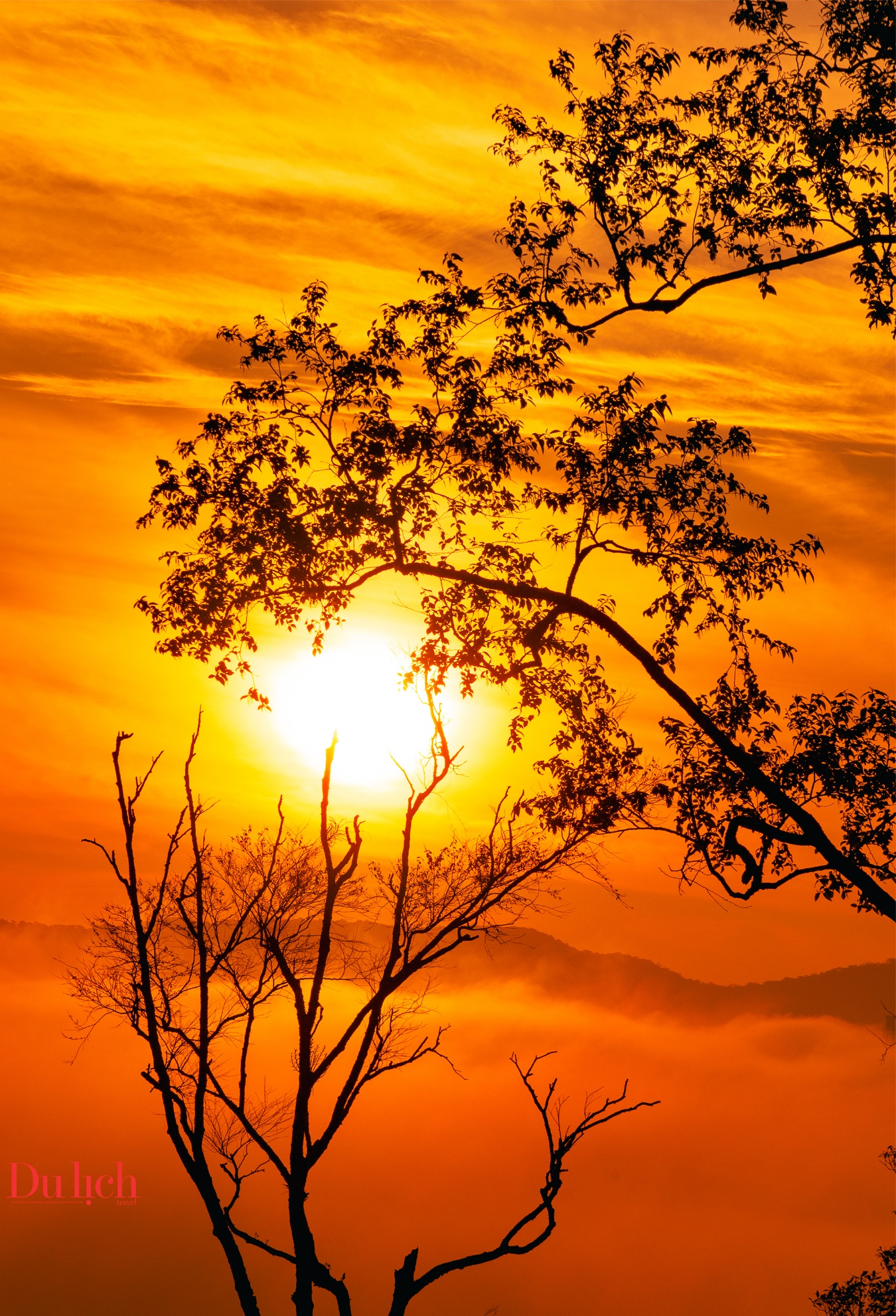 binh minh sac hong giua dai ngan mang den - 5