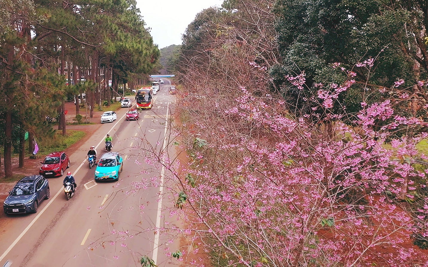 binh minh sac hong giua dai ngan mang den - 10