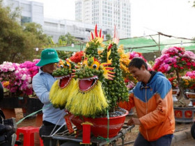  - Hội hoa xuân Phú Mỹ Hưng 2026 mở cửa từ 11 đến 20/2, chủ đề “Xuân gắn kết”