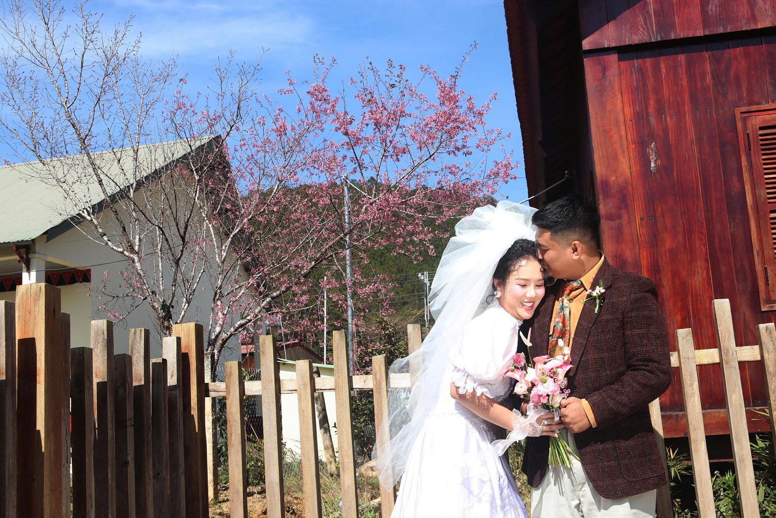 Mai anh đào rực hồng, buôn làng K'Ho trở thành điểm check-in hấp dẫn - 13