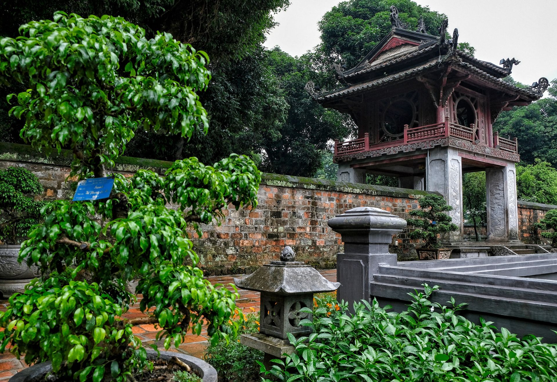 Việt Nam 'soán ngôi' Thái Lan trong cuộc đua hút khách Trung Quốc - 2