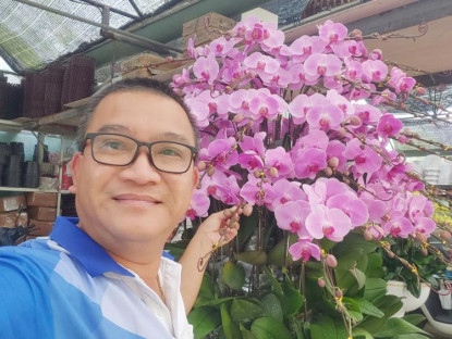  - Nhiều người chi hàng chục triệu đồng mua hoa lan hồ điệp chưng Tết