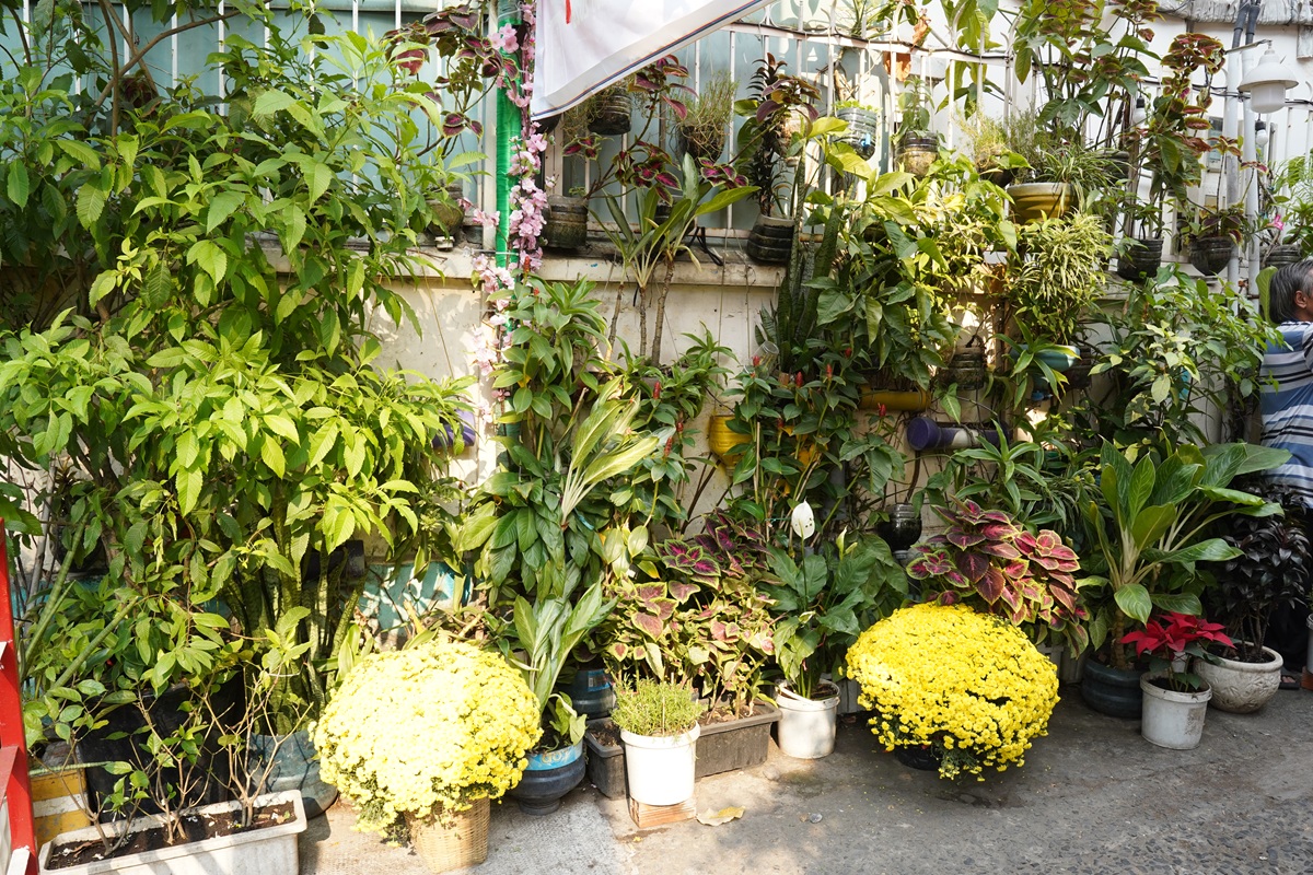 'Góc Tết' trong hẻm nhỏ, lan tỏa nghĩa tình - 11