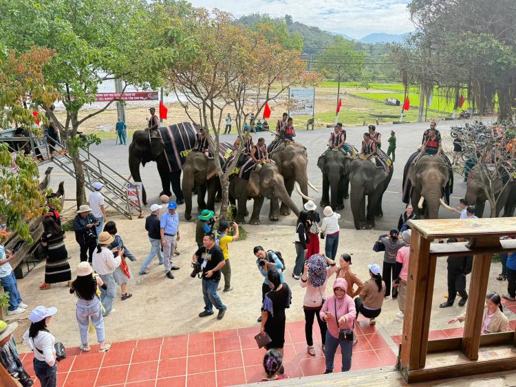 Đắk Lắk tổ chức loạt sự kiện hấp dẫn thu hút du khách