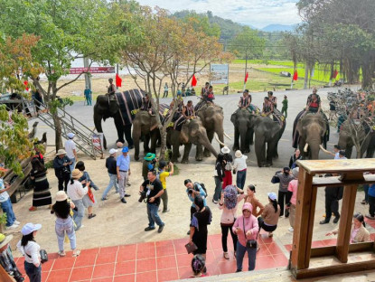 Đắk Lắk tổ chức loạt sự kiện hấp dẫn thu hút du khách