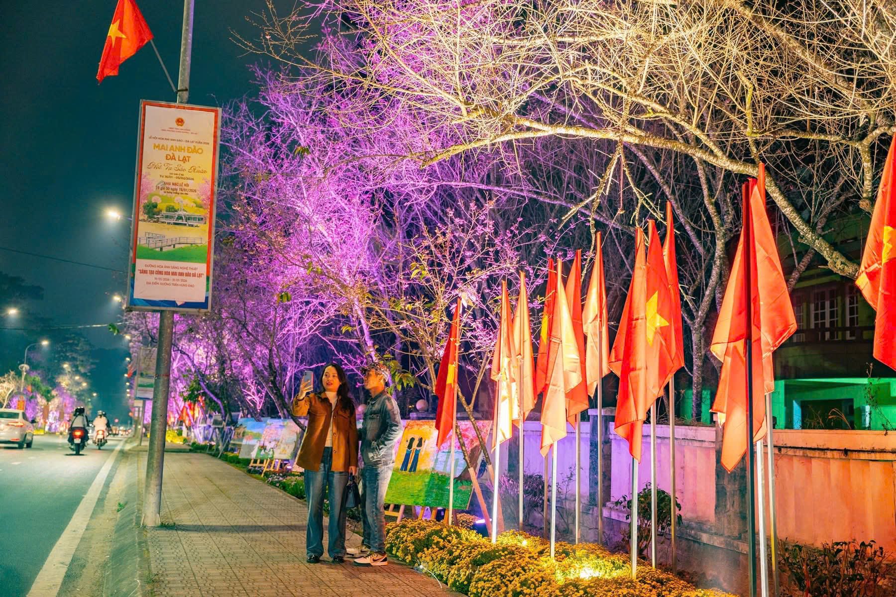 Lung linh ánh sáng tại đường nghệ thuật hoa mai anh đào Đà Lạt - 3