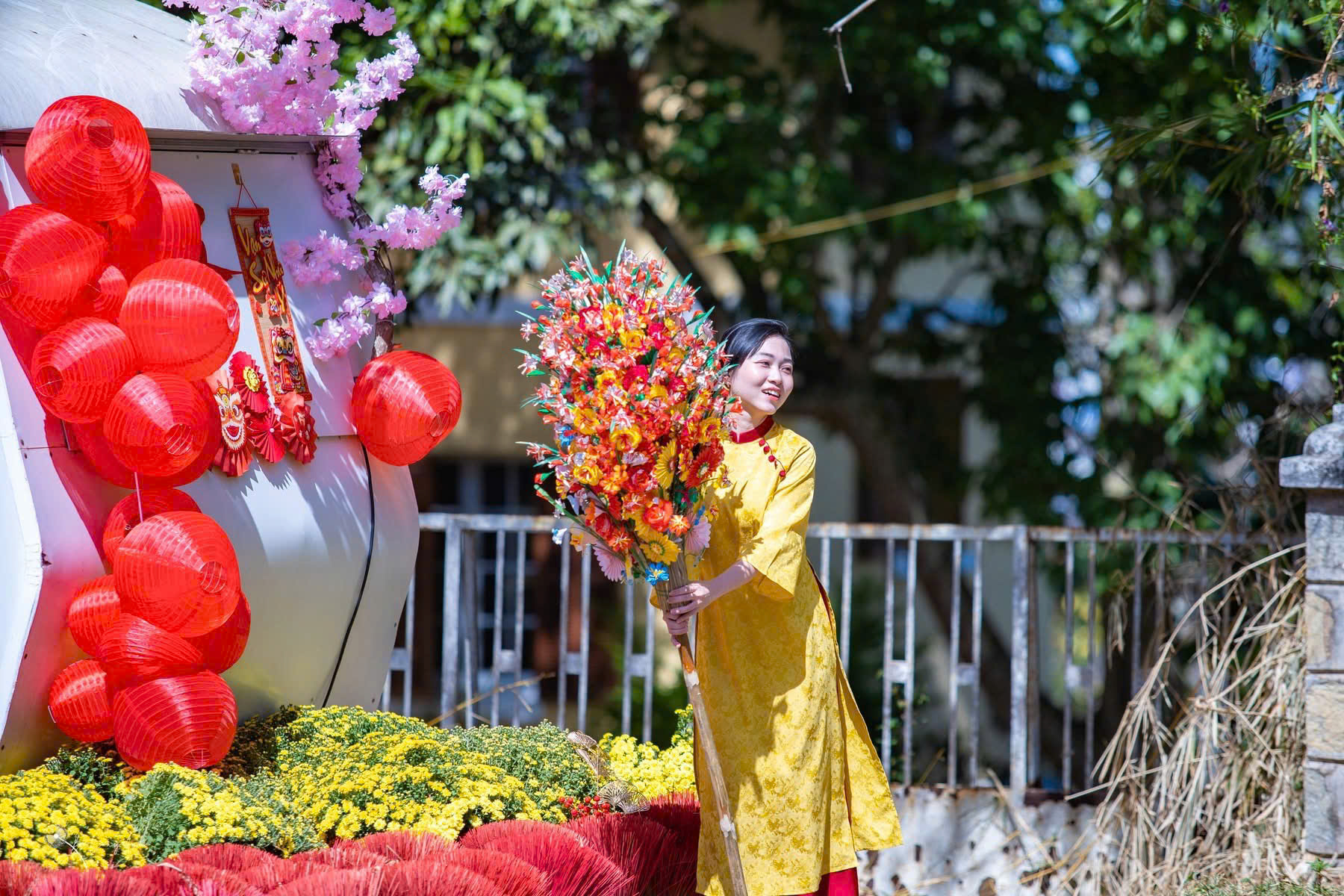 Lung linh ánh sáng tại đường nghệ thuật hoa mai anh đào Đà Lạt - 5