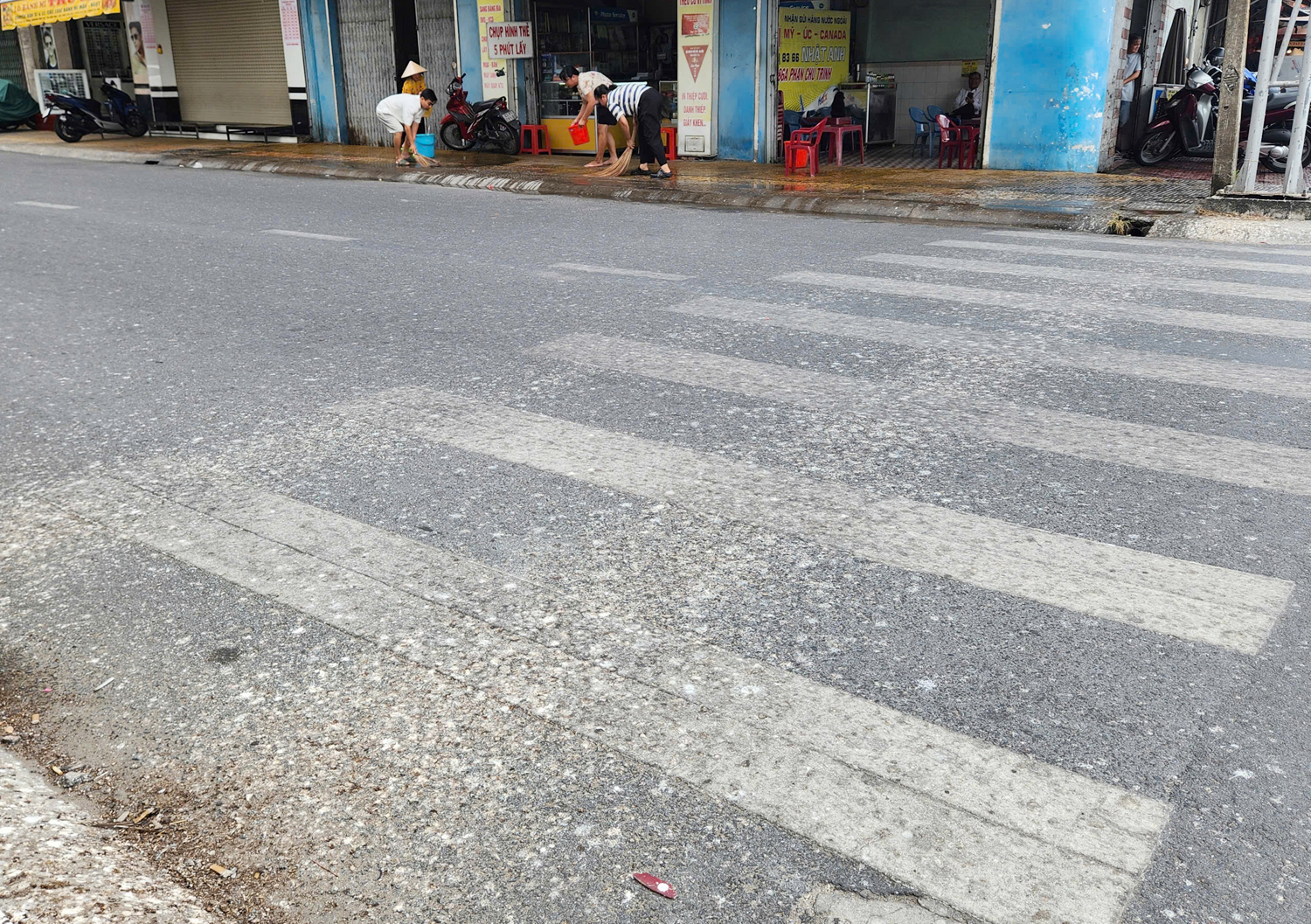 Hàng nghìn con chim đến trú ngụ, vui mừng nhưng cũng phiền vì phân chim quá nhiều - 2