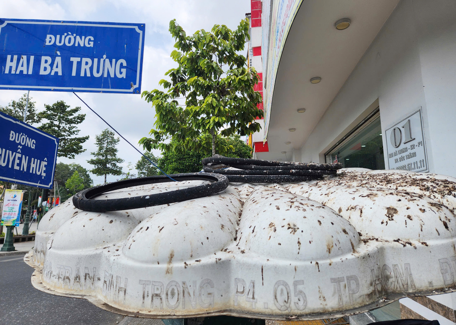 Hàng nghìn con chim đến trú ngụ, vui mừng nhưng cũng phiền vì phân chim quá nhiều - 4