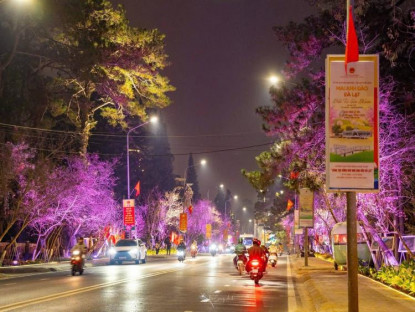 Lung linh ánh sáng tại đường nghệ thuật hoa mai anh đào Đà Lạt