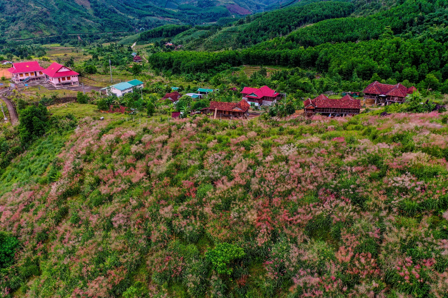 Tư vấn hỗ trợ việc làm cho quân nhân Quảng Ngãi hoàn thành nghĩa vụ trở về địa phương - 5