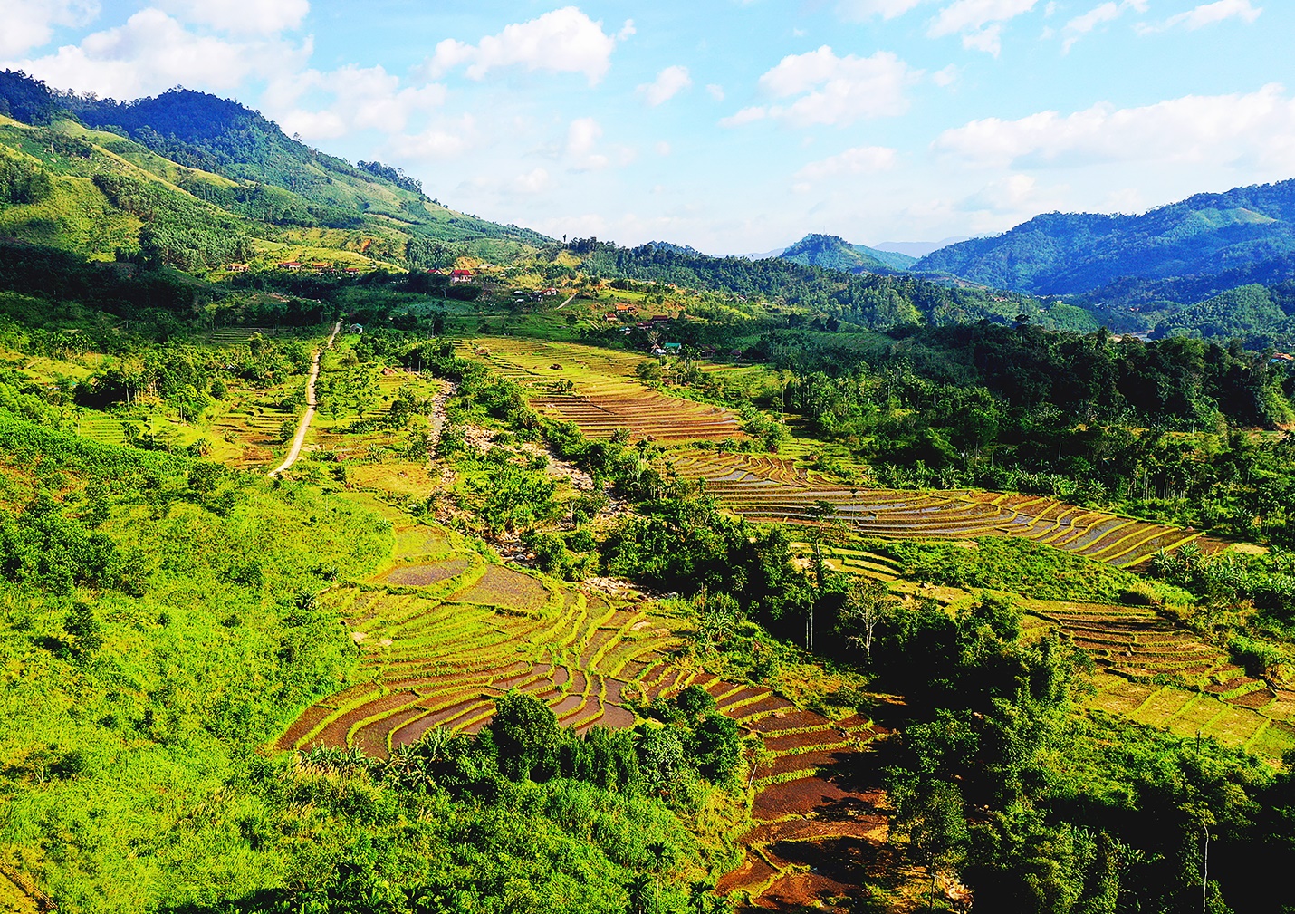 Tư vấn hỗ trợ việc làm cho quân nhân Quảng Ngãi hoàn thành nghĩa vụ trở về địa phương - 6