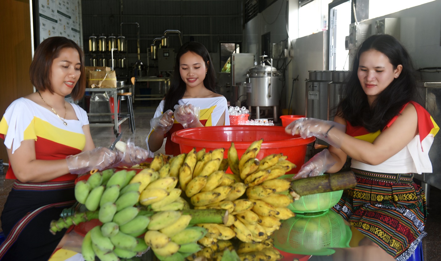Tư vấn hỗ trợ việc làm cho quân nhân Quảng Ngãi hoàn thành nghĩa vụ trở về địa phương - 7