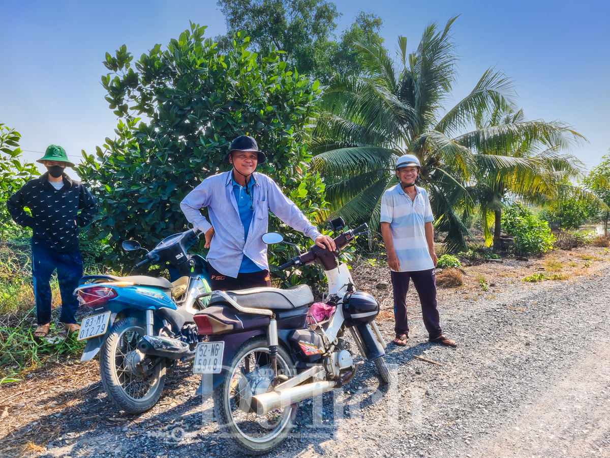 Về ‘thủ phủ’ mai vàng Bình Lợi ngắm sắc xuân rạng ngời trong nắng sớm - 12