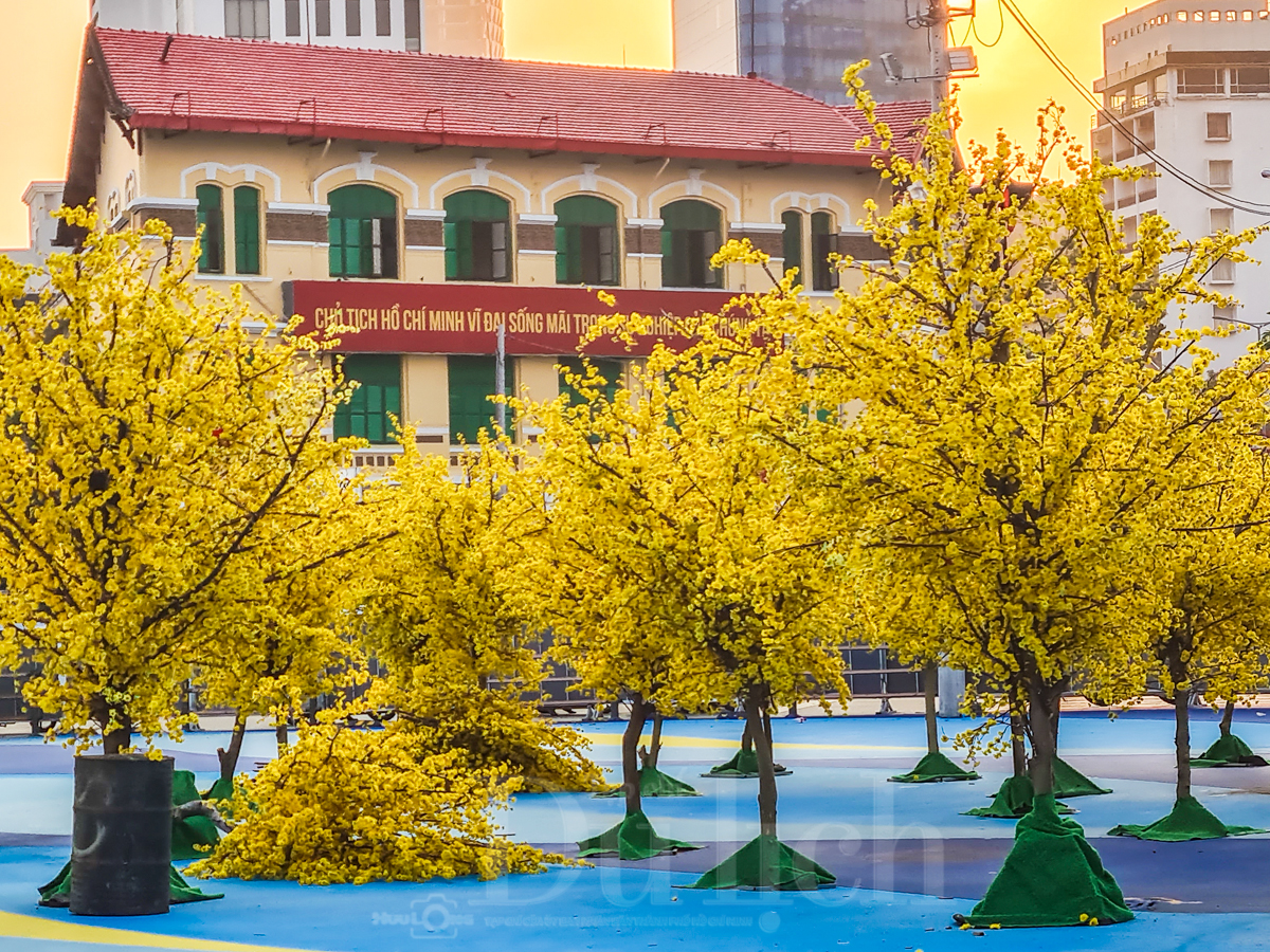 'Biển xanh' vẫy gọi giữa lòng phố: chợ Bến Thành khoác áo mới chờ khách check-in - 8