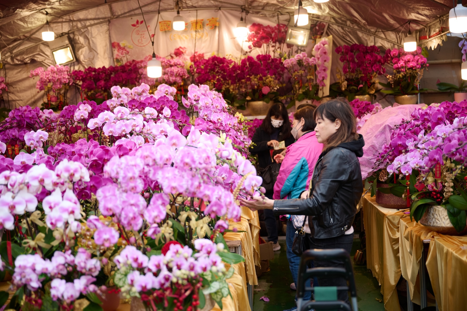 Ghé Hương Cảng xem diễu hành xe hoa rực rỡ dịp Tết - 3