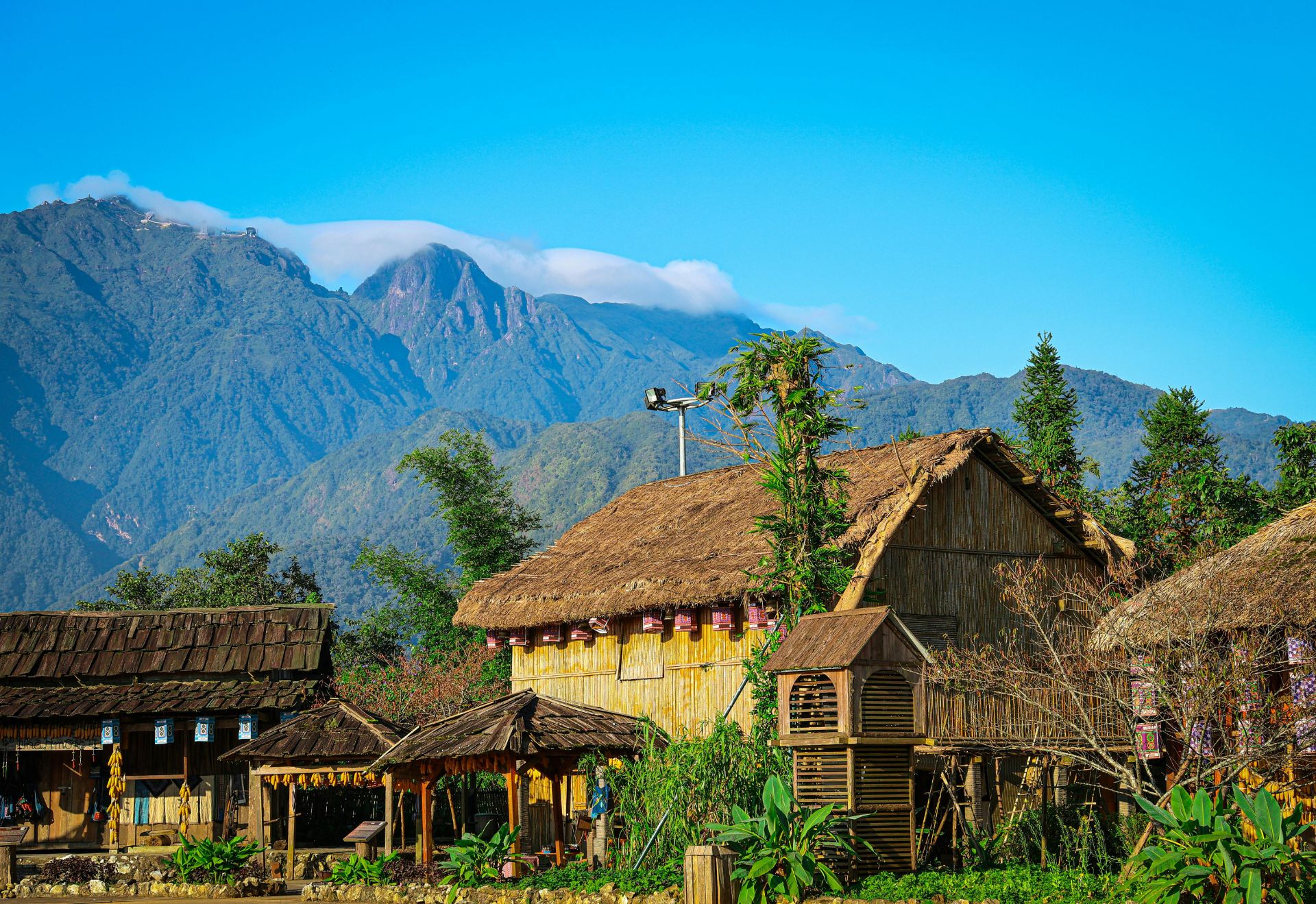 tri thuc cong nghe se dinh hinh tuong lai viet nam trong 5 nam toi - 11