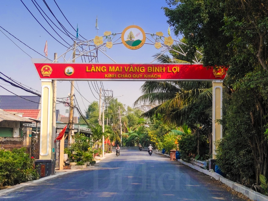 Về ‘thủ phủ’ mai vàng Bình Lợi ngắm sắc xuân rạng ngời trong nắng sớm - 17