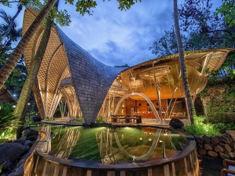 Tiêu dùng gỗ bền vững trong xu hướng du lịch “retreat” dưới tán rừng