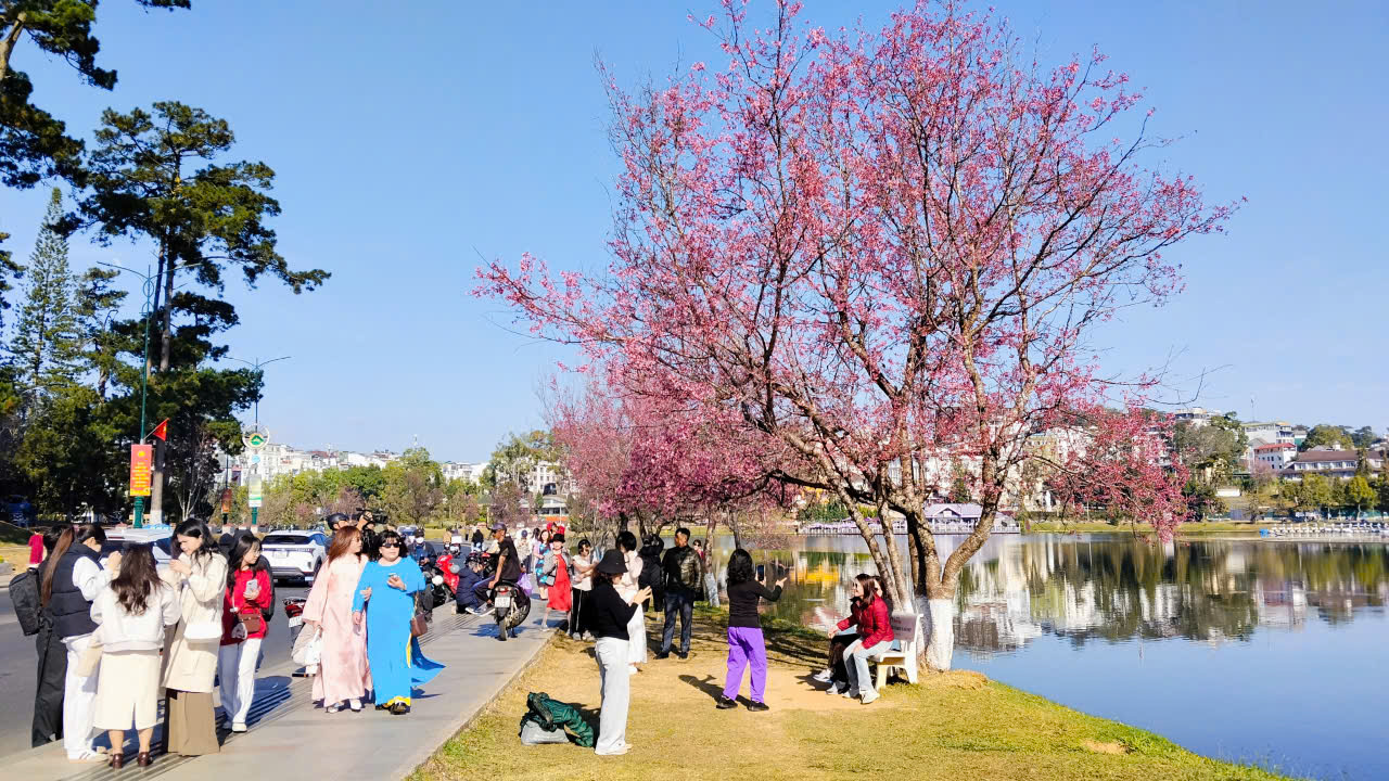 Đặc sắc chương trình nghệ thuật "Âm vang sắc hồng trên phố núi" Đà Lạt - 5