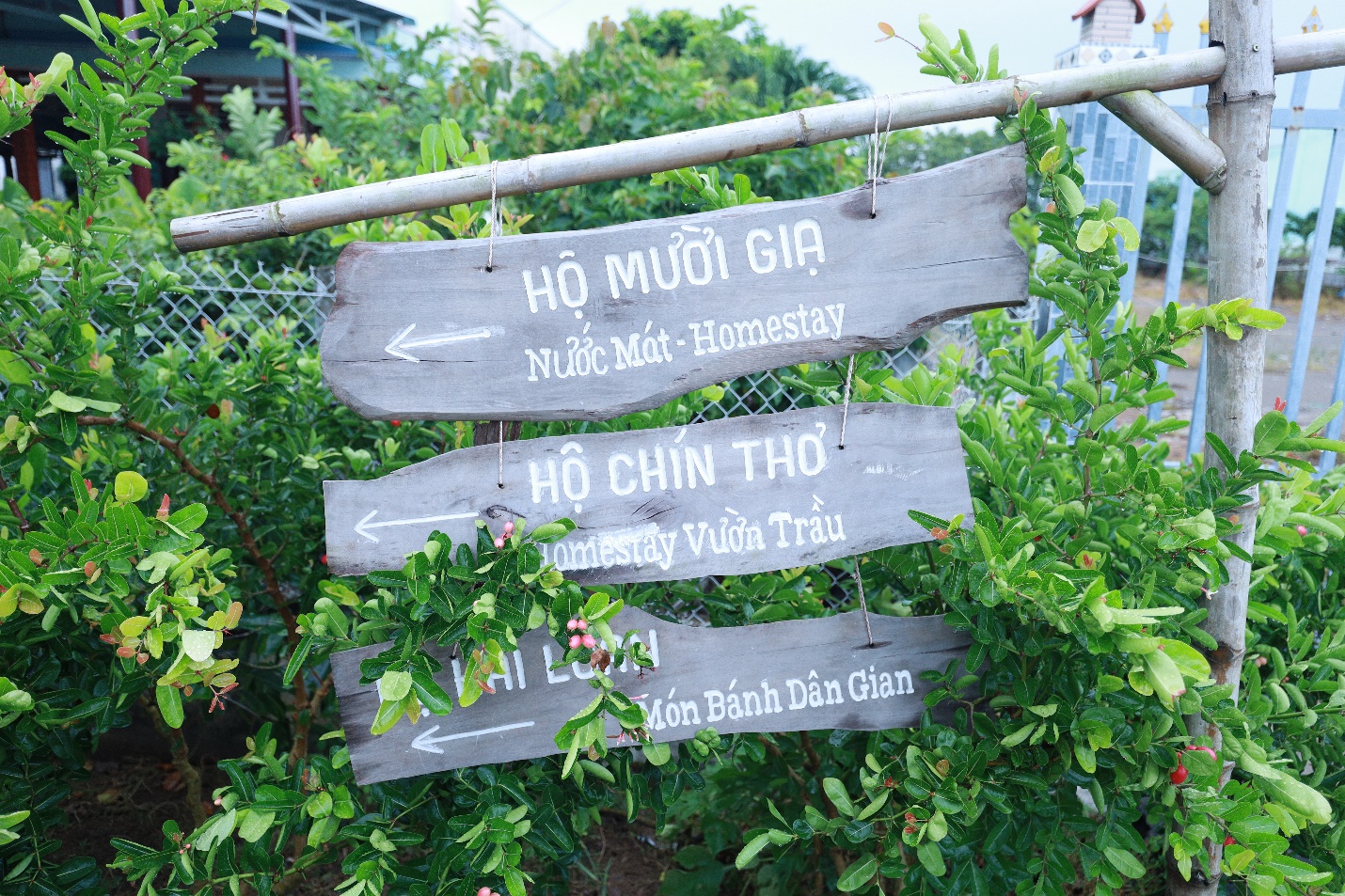 Cục Du lịch Quốc gia Việt Nam: Cần Giờ là viên ngọc quý, là kho báu về du lịch của TP.HCM - 4