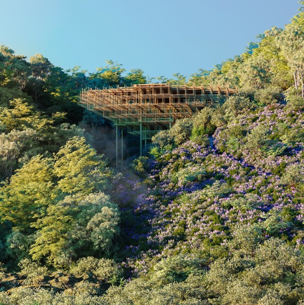 Tiêu dùng gỗ bền vững trong xu hướng du lịch “retreat” dưới tán rừng - 2