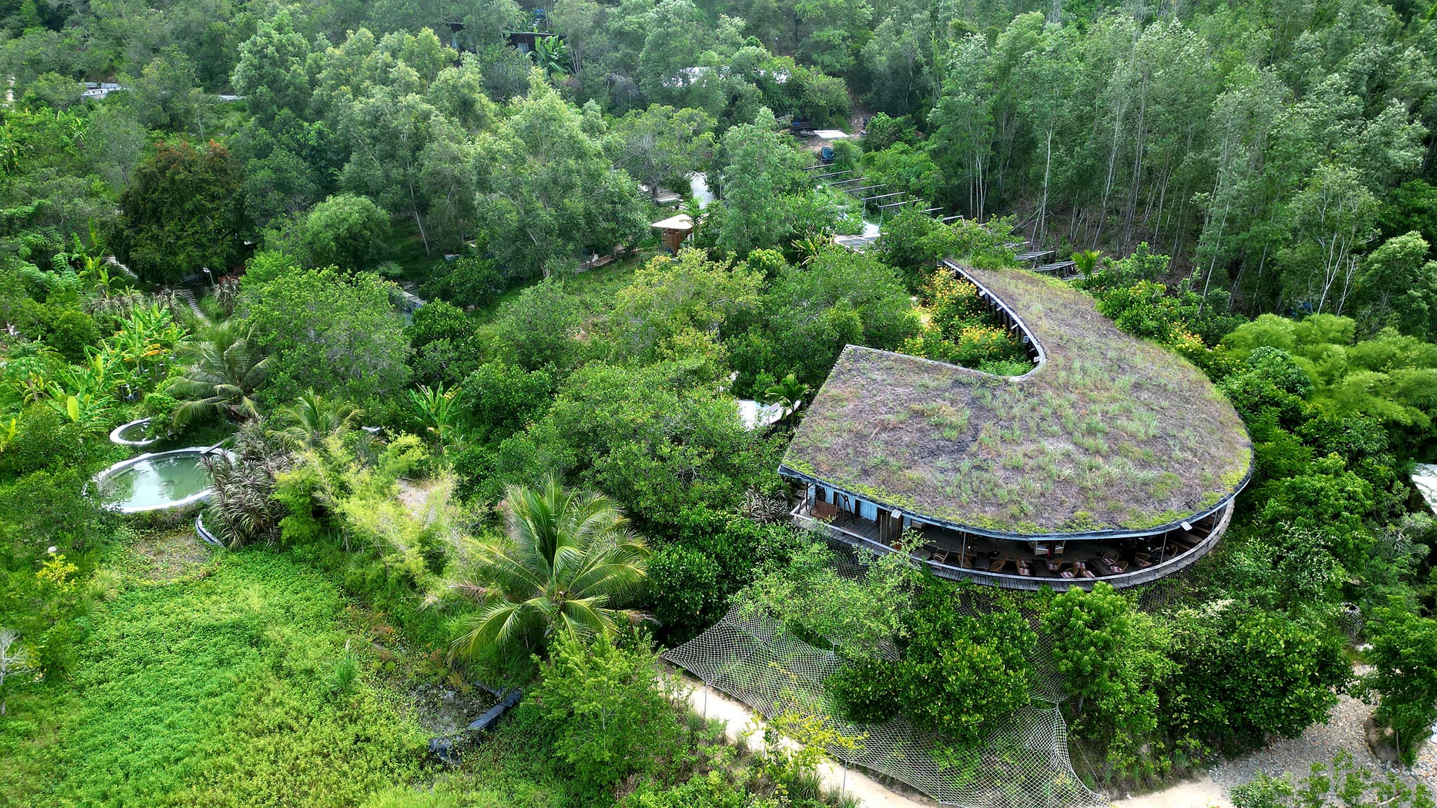 Tiêu dùng gỗ bền vững trong xu hướng du lịch “retreat” dưới tán rừng - 6