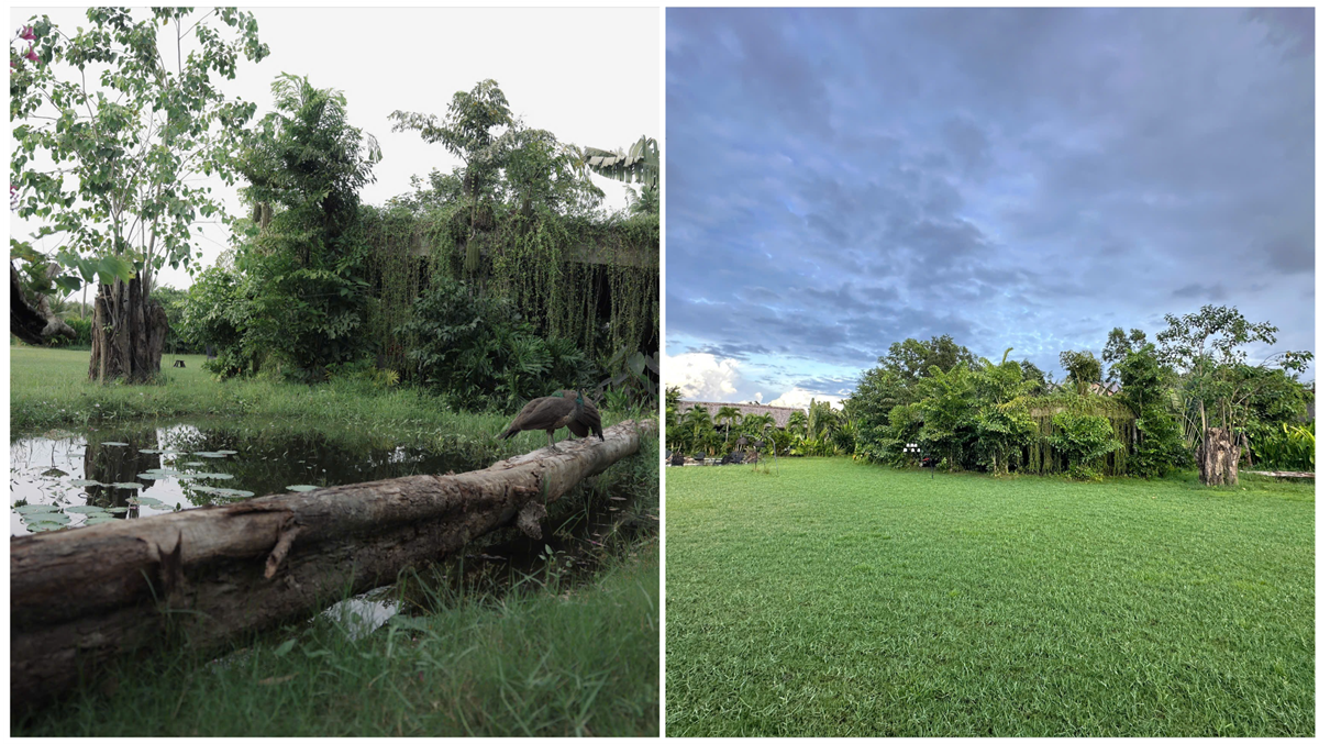 tu cau noi 'rua phoi' den mot cach lam du lich khac biet cua chang trai mien tay - 4
