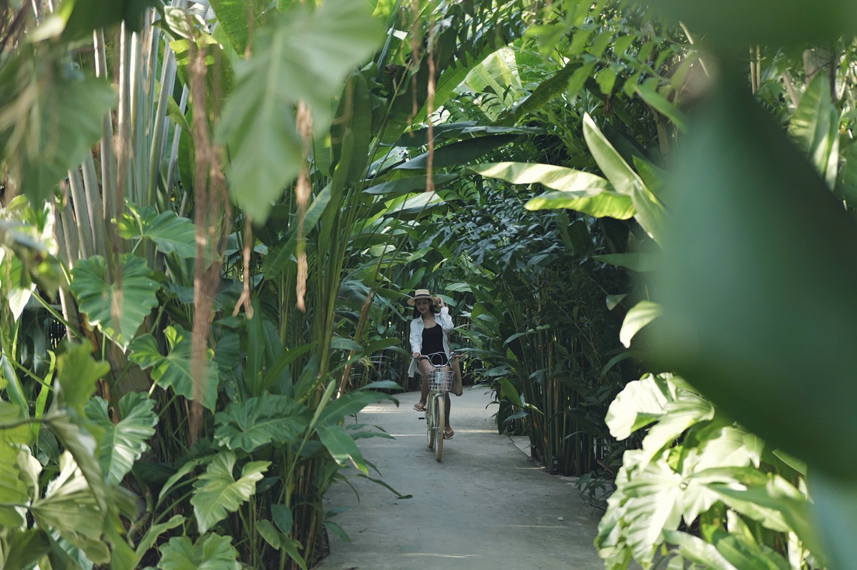 tu cau noi 'rua phoi' den mot cach lam du lich khac biet cua chang trai mien tay - 5